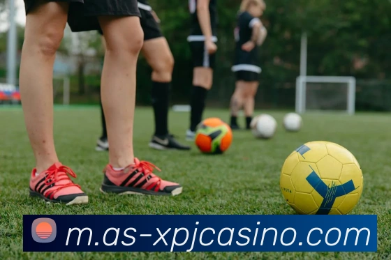 澳门新葡京娱乐平台生态图