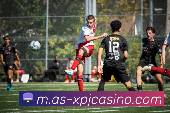 澳门新葡京娱乐全站App